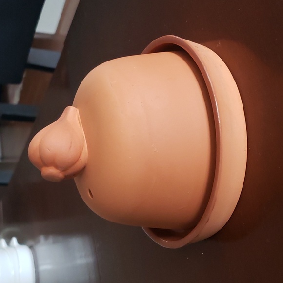 Terra Cotta Garlic Roaster - Picture 1 of 6